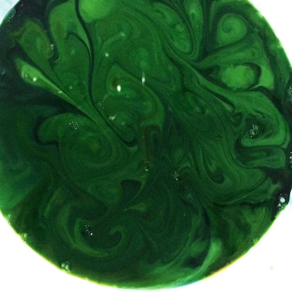 Meet your Posher, Sandy